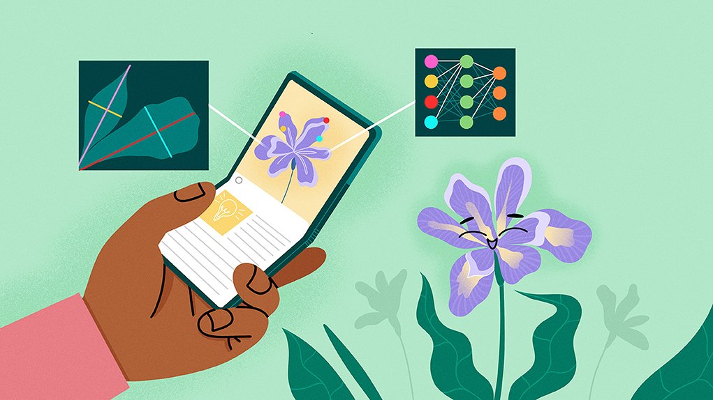 Neural Network Optimization