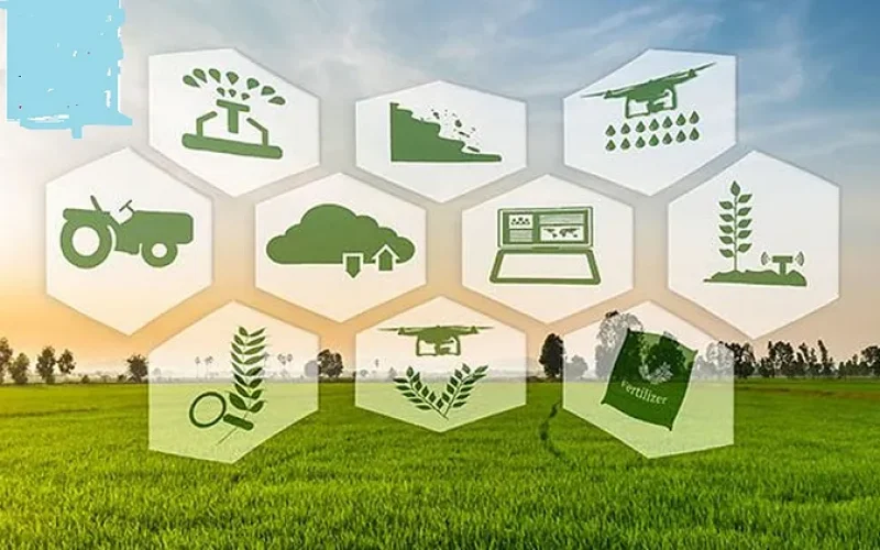 Sustainable Tech Innovation