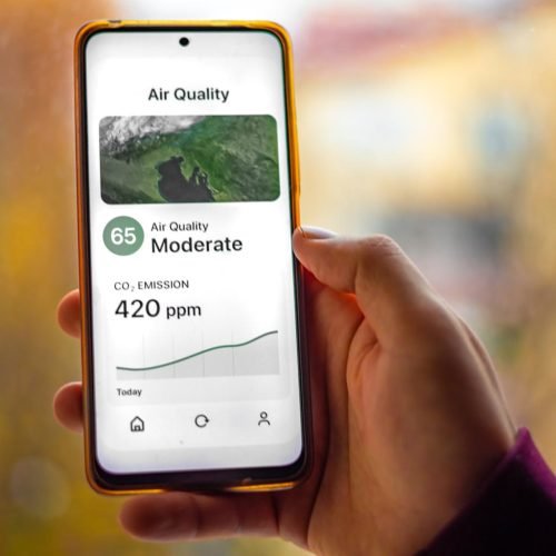 The Role of AI in Climate Change and Environmental Protection