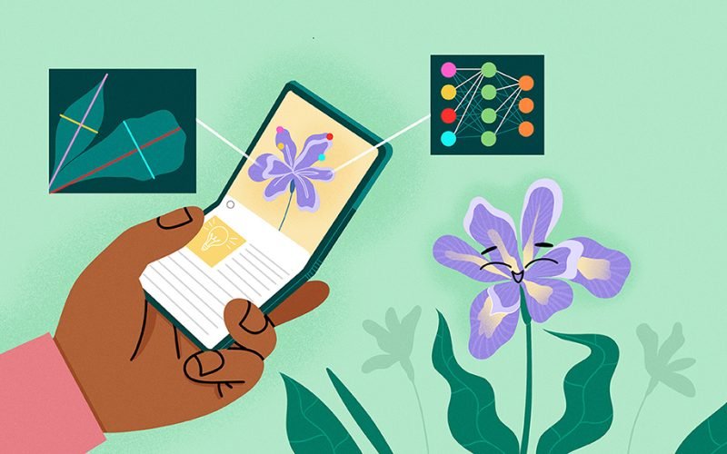 Neural Network Optimization